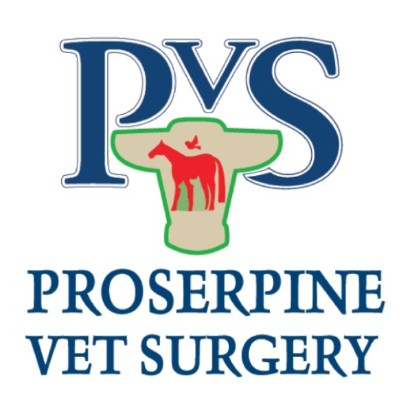Proserpine Veterinary Surgery